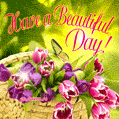 Have a Beautiful Day GIF