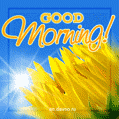 Bright Summer Morning Sun and Beautiful Sunflower good morning animated image