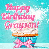 A festive cupcake with pink icing, a gingham bow, and a lit animated sparkler, paired with 'Happy Birthday Grayson!' in bright pink text.
