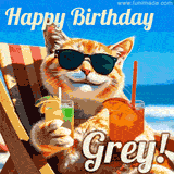 A cheerful cat wearing sunglasses, enjoying drinks on a sunny beach chair, with the text 'Happy Birthday Grey!' in bright letters.