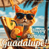 An animated orange cat wearing sunglasses, sitting on a beach chair with a tropical drink, with a festive 'Happy Birthday Guadalupe!' message.