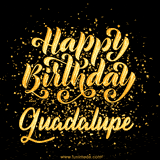 Animated GIF with colorful, festive 'Happy Birthday Guadalupe' text decorated with patterns, a party hat, and falling confetti. A vibrant and cheerful design for birthday celebrations.