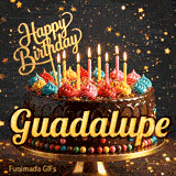 Flickering candles on top of a decorated chocolate cake with multicolored frosting swirls for Guadalupe's birthday celebration.