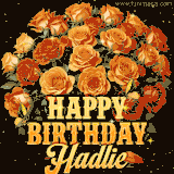 Animated bouquet of orange roses with moving butterfles and golden 'Happy Birthday Hadlie' text, surrounded by sparkling accents and a dark backdrop for a luxurious feel.