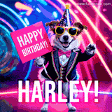 Animated GIF of a cool dog wearing a suit and sunglasses, holding a 'Happy Birthday' sign for Harley, set against a bright and colorful neon party background.