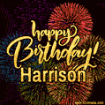 Happy Birthday, Harrison! Celebrate with joy, colorful fireworks, and unforgettable moments.