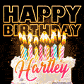 Hartley - Animated Happy Birthday Cake GIF for WhatsApp