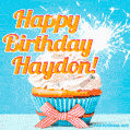 Happy Birthday, Haydon! Elegant cupcake with a sparkler.