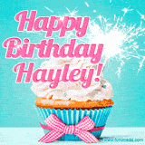 A festive cupcake with pink icing, a gingham bow, and a lit animated sparkler, paired with 'Happy Birthday Hayley!' in bright pink text.