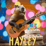 Animated birthday GIF showing a capybara playing guitar and singing beside a birthday cake with the name Hayley in large letters and colorful bokeh lights in the background.
