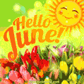 New Hello June 2023 GIF animation