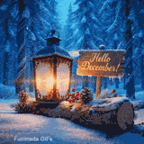 Hello December greeting on a wooden stake next to a warm candle lantern. The scene is set on a log in a snowy wood with magical glittering swirls and festive red berries.