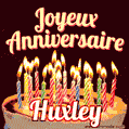Joyeux anniversaire Huxley GIF