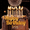 Chocolate Happy Birthday Cake for Iris (GIF)