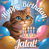 A playful tabby cat sits behind a colorful birthday cake surrounded by balloons and confetti, with 'Happy Birthday Jalal!' written above in festive letters.