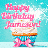 A festive cupcake with pink icing, a gingham bow, and a lit animated sparkler, paired with 'Happy Birthday Jameson!' in bright pink text.