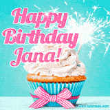 A festive cupcake with pink icing, a gingham bow, and a lit animated sparkler, paired with 'Happy Birthday Jana!' in bright pink text.