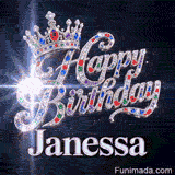 Detailed view of colorful red, blue, and green gemstones embedded in a silver tiara above Janessa's name.