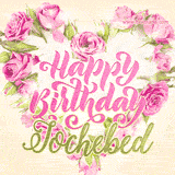 A stunning heart made of pink roses surrounds the elegant script text 'Happy Birthday Jochebed' on a soft beige background. Animated sparkles add a magical and festive feel.