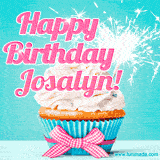 A festive cupcake with pink icing, a gingham bow, and a lit animated sparkler, paired with 'Happy Birthday Josalyn!' in bright pink text.