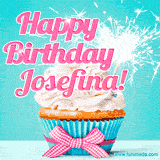 A festive cupcake with pink icing, a gingham bow, and a lit animated sparkler, paired with 'Happy Birthday Josefina!' in bright pink text.