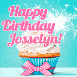 A festive cupcake with pink icing, a gingham bow, and a lit animated sparkler, paired with 'Happy Birthday Josselyn!' in bright pink text.