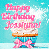 A festive cupcake with pink icing, a gingham bow, and a lit animated sparkler, paired with 'Happy Birthday Josslynn!' in bright pink text.