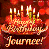 Beautifully decorated red velvet berry birthday cake with vibrant fruits and a glowing 'Journee' name, adding a touch of sweetness and sparkle.