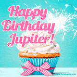 A festive cupcake with pink icing, a gingham bow, and a lit animated sparkler, paired with 'Happy Birthday Jupiter!' in bright pink text.