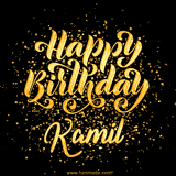 Animated GIF with colorful, festive 'Happy Birthday Kamil' text decorated with patterns, a party hat, and falling confetti. A vibrant and cheerful design for birthday celebrations.