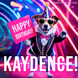 Animated GIF of a cool dog wearing a suit and sunglasses, holding a 'Happy Birthday' sign for Kaydence, set against a bright and colorful neon party background.