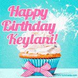 A festive cupcake with pink icing, a gingham bow, and a lit animated sparkler, paired with 'Happy Birthday Keylani!' in bright pink text.