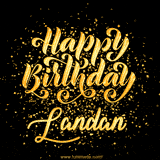 Animated GIF with colorful, festive 'Happy Birthday Landan' text decorated with patterns, a party hat, and falling confetti. A vibrant and cheerful design for birthday celebrations.