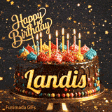 Gold lettering spelling the name Landis on a festive chocolate cake with colorful sprinkles around the base.