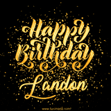 Animated GIF with colorful, festive 'Happy Birthday Landon' text decorated with patterns, a party hat, and falling confetti. A vibrant and cheerful design for birthday celebrations.