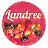 Beautifully decorated red velvet berry birthday cake with vibrant fruits and a glowing 'Landree' name, adding a touch of sweetness and sparkle.
