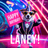 Animated GIF of a cool dog wearing a suit and sunglasses, holding a 'Happy Birthday' sign for Laney, set against a bright and colorful neon party background.