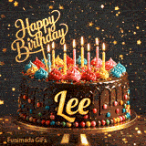 Burning birthday candles on top of a chocolate drip cake decorated with colorful icing dollops and sprinkles for Lee.
