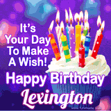 A colorful birthday GIF for Lexington featuring a cupcake with vibrant lit candles and the text 'It's Your Day to Make a Wish! Happy Birthday Lexington' in bold letters on a festive purple background.