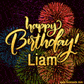 Happy Birthday, Liam! Celebrate with joy, colorful fireworks, and unforgettable moments.