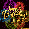 Happy Birthday, Lilly! Celebrate with joy, colorful fireworks, and unforgettable moments. Cheers!