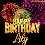 A golden 'Happy Birthday Lily' message with vibrant fireworks in the background, creating a festive and celebratory vibe in this animated name GIF.
