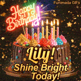 Bold golden lettering spelling Lily! on a gourmet chocolate cake with the subtext Shine Bright Today! on a gold stand.