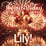 Large white nameplate spelling Lily with red outline placed on a luxurious red gift box under party balloons.