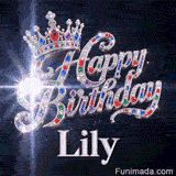 Detailed view of colorful red, blue, and green gemstones embedded in a silver tiara above Lily's name.