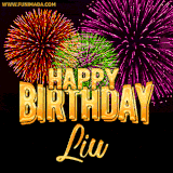 A golden 'Happy Birthday Liu' message with vibrant fireworks in the background, creating a festive and celebratory vibe in this animated name GIF.