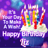 A colorful birthday GIF for Liz featuring a cupcake with vibrant lit candles and the text 'It's Your Day to Make a Wish! Happy Birthday Liz' in bold letters on a festive purple background.