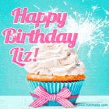 A festive cupcake with pink icing, a gingham bow, and a lit animated sparkler, paired with 'Happy Birthday Liz!' in bright pink text.