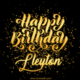 Animated GIF with colorful, festive 'Happy Birthday Lleyton' text decorated with patterns, a party hat, and falling confetti. A vibrant and cheerful design for birthday celebrations.