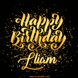 Animated GIF with colorful, festive 'Happy Birthday Lliam' text decorated with patterns, a party hat, and falling confetti. A vibrant and cheerful design for birthday celebrations.